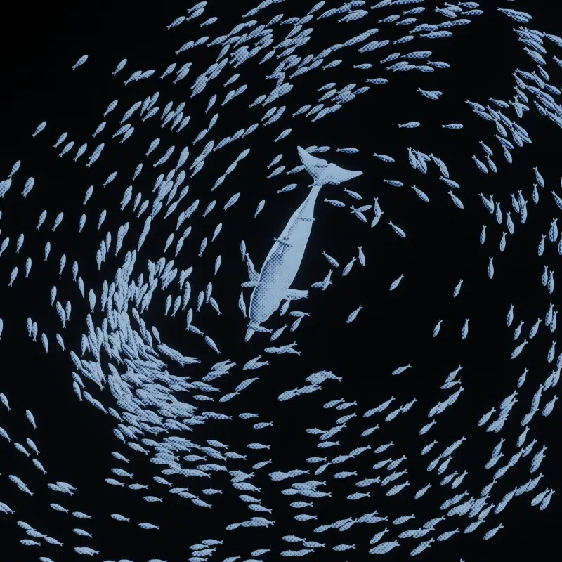 BAIT // TIDAL