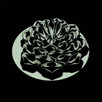 RING // BOTANICAL