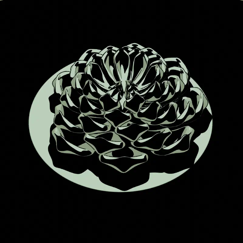 RING // BOTANICAL