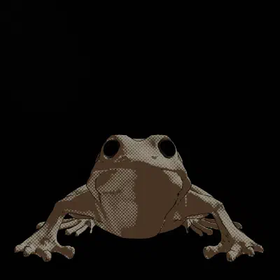 SWING // AMPHIBIAN