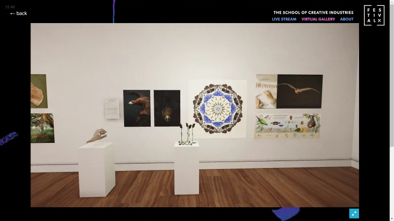 Festival X Natural History Illustration Gallery 5 - Rachel Klyve 2020