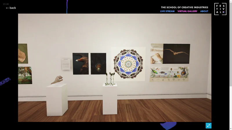 Festival X Natural History Illustration Gallery 5 - Rachel Klyve 2020