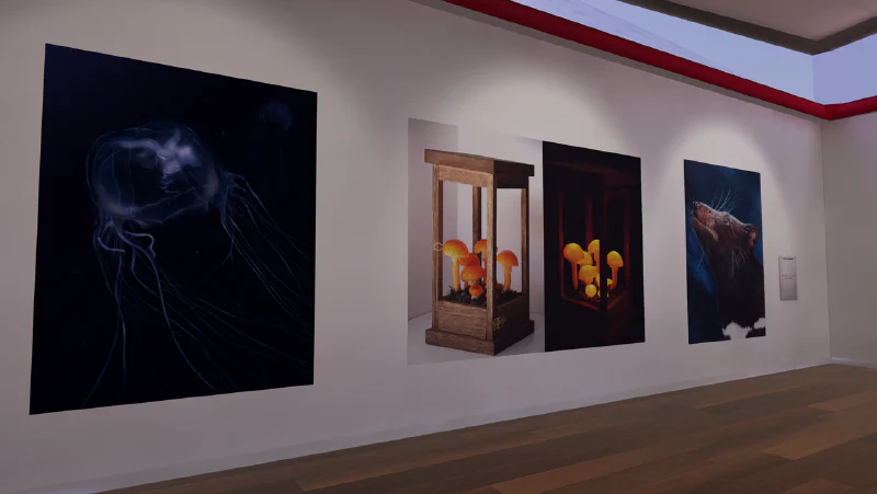 Festival X NHI Gallery 2