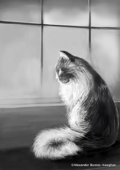 Catigon
