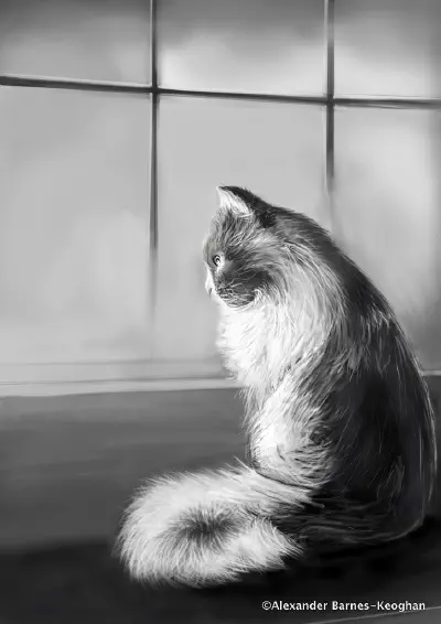 Catigon