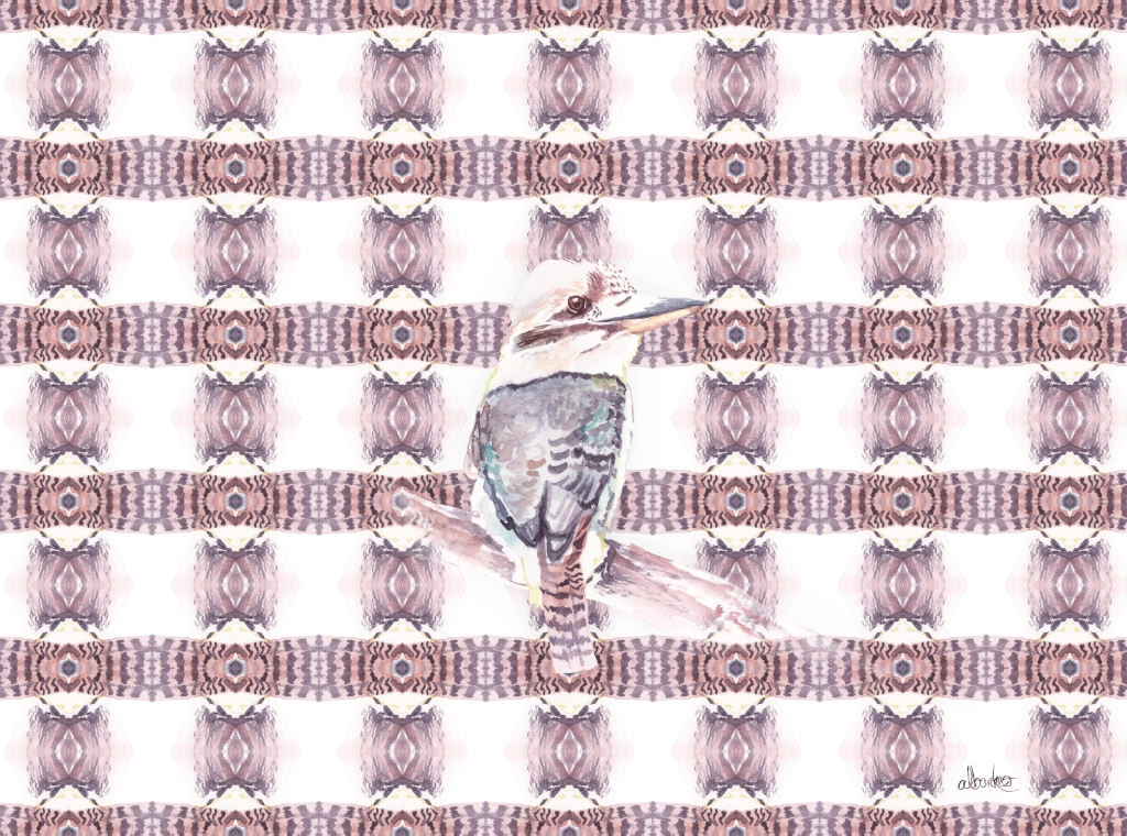 kookaburra_wsrgb.jpg