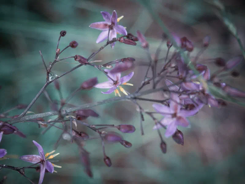 Purple pleats