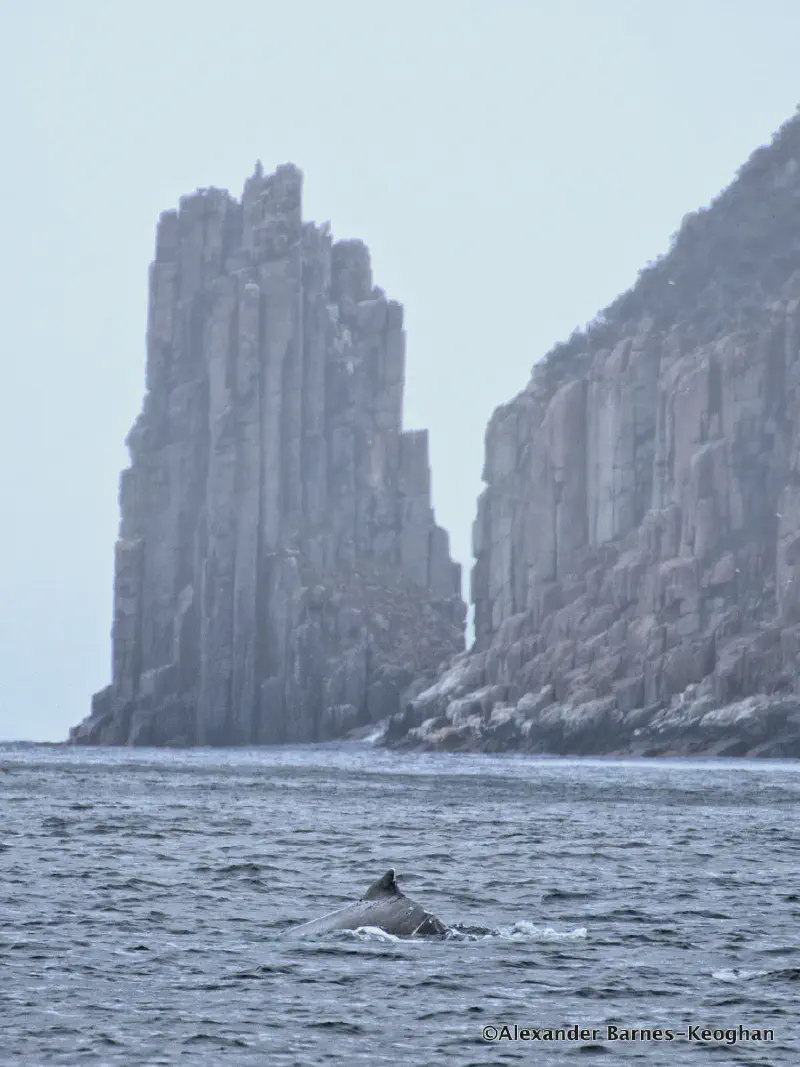 Tasmania