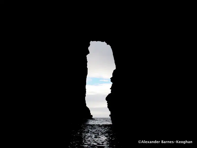Arch Faces