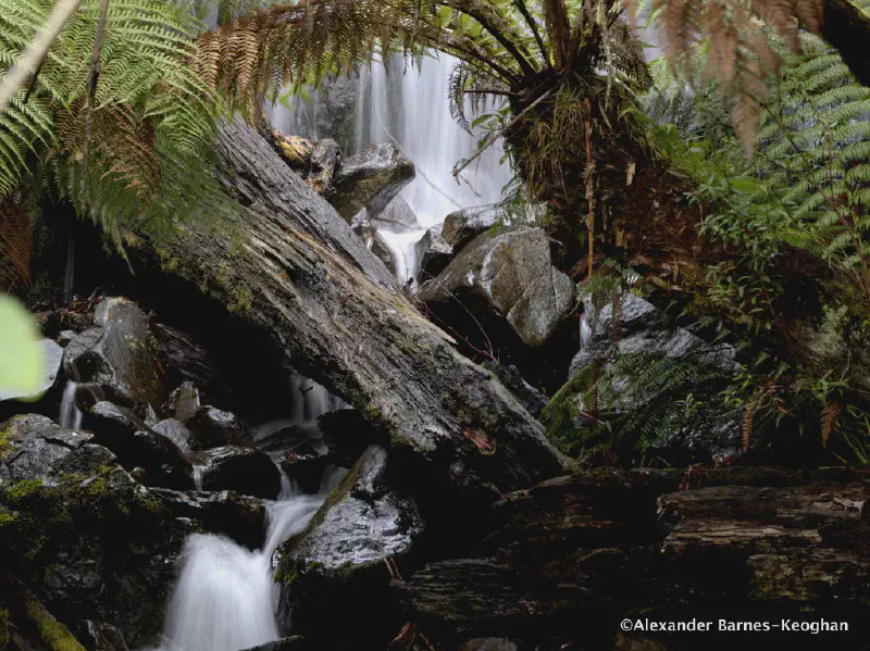 Cold Temperate Waterfall