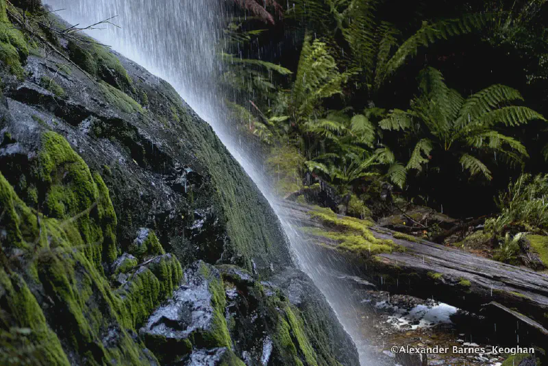Mossy Marriotts Falls