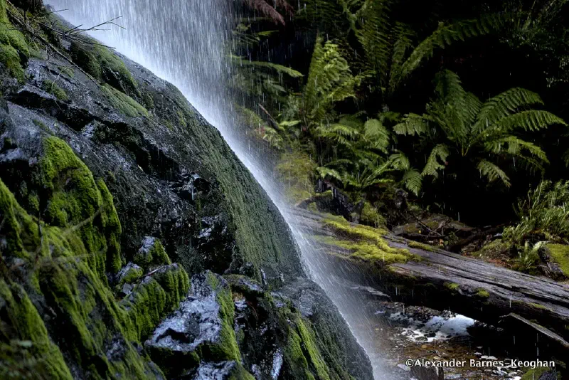 Mossy Marriotts Falls