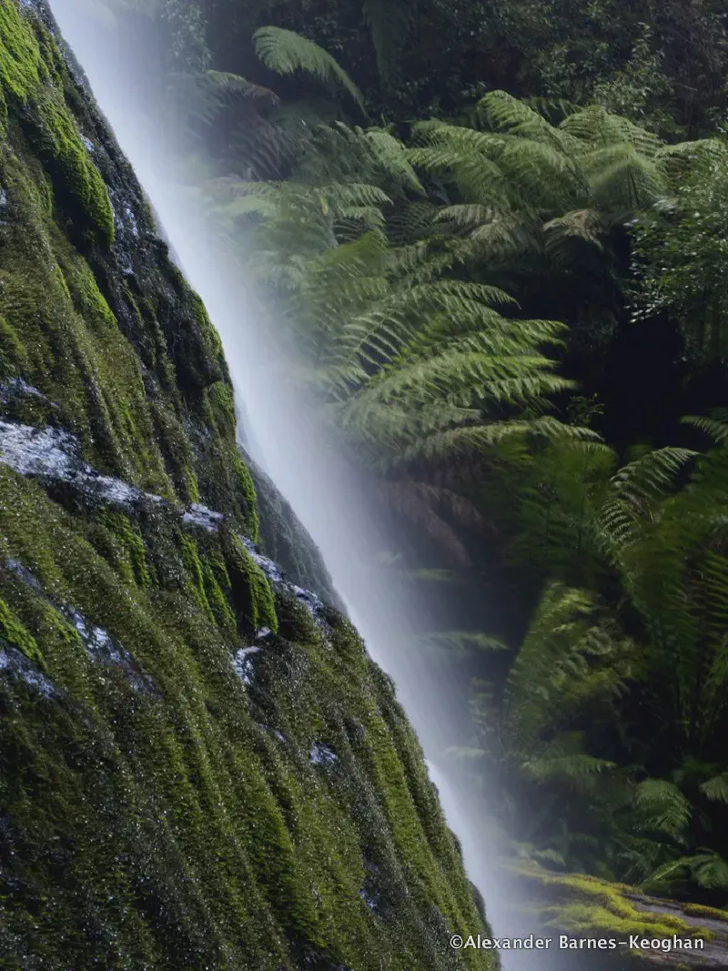 Marriotts Falls