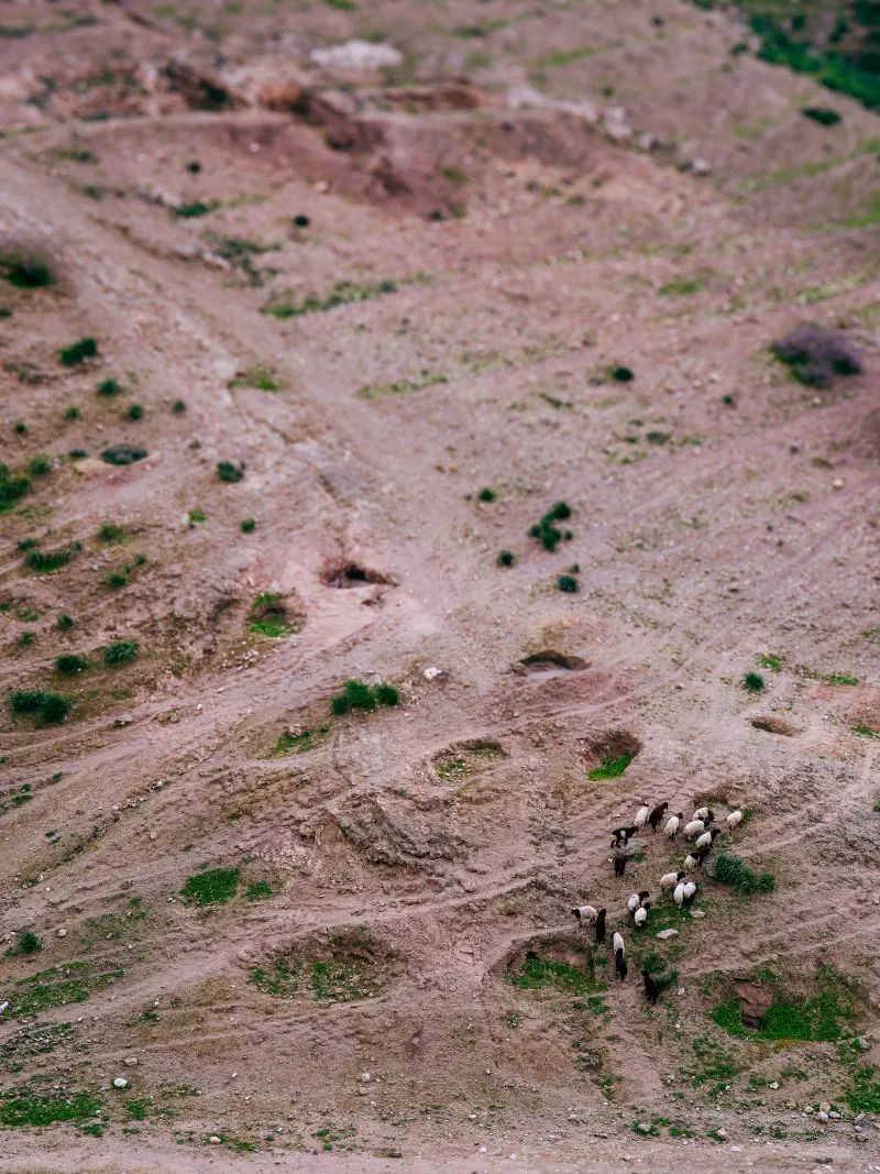 Sheepish Climb