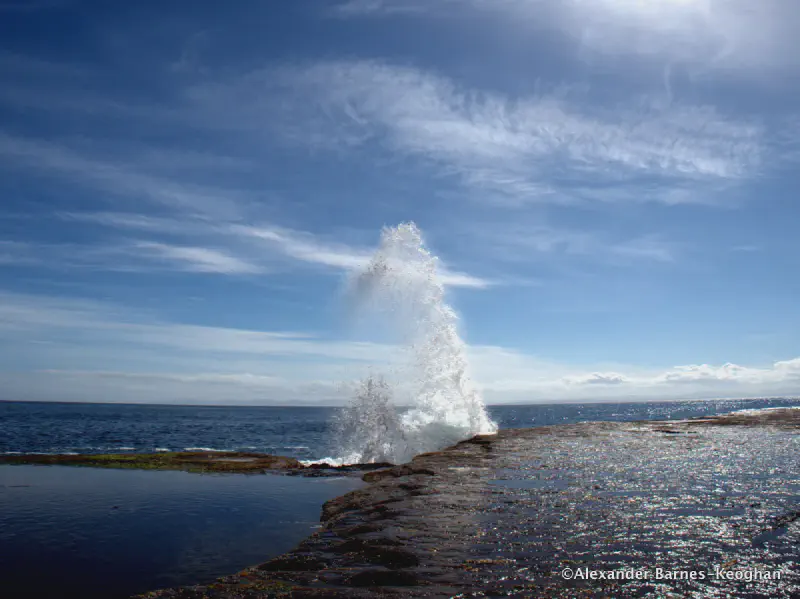 Shipsterns Rough (0001) Shipsterns Rough