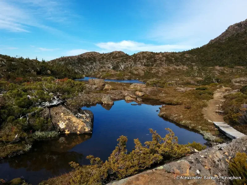 Tarns
